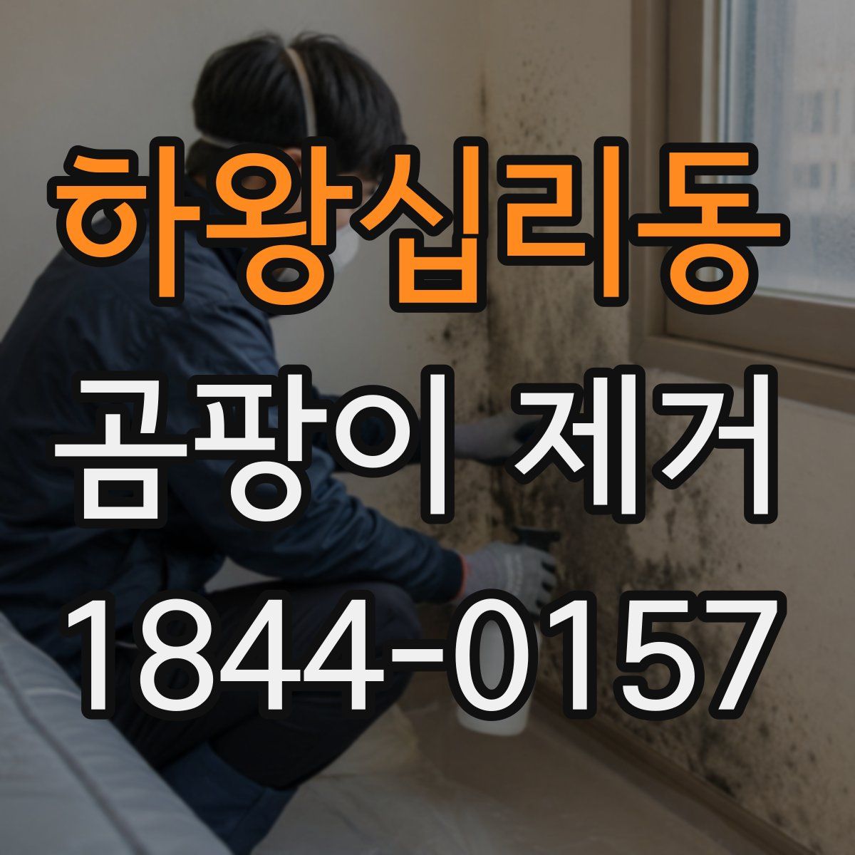 하왕십리동 곰팡이 제거