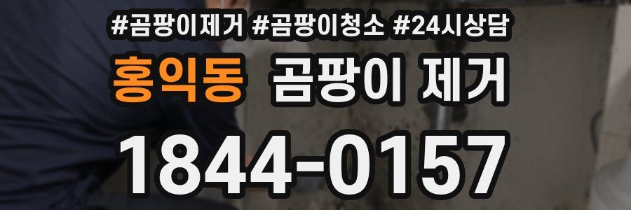 홍익동 곰팡이 제거