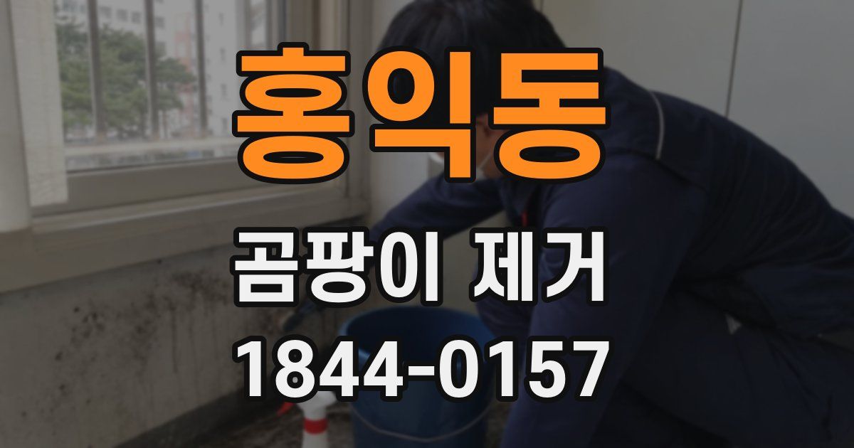 홍익동 곰팡이 제거