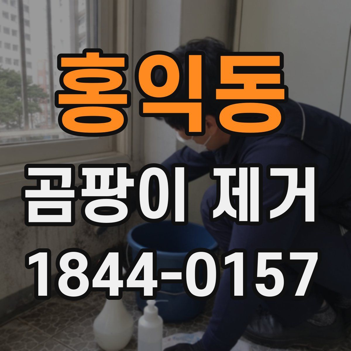 홍익동 곰팡이 제거