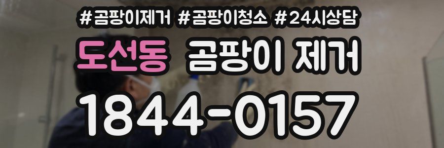도선동 곰팡이 제거