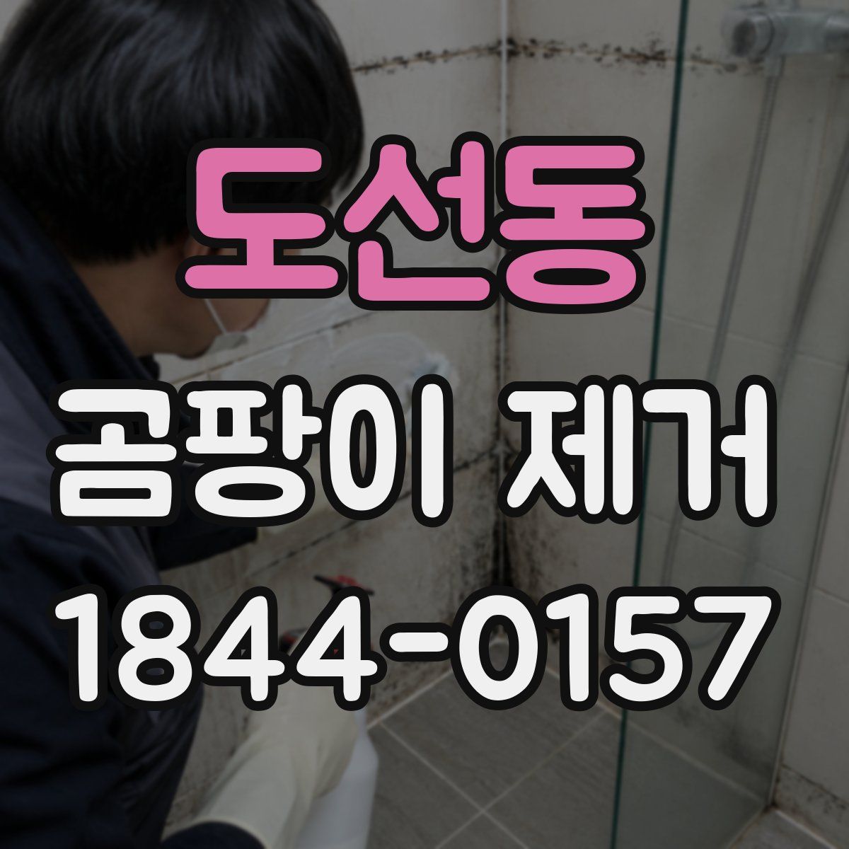 도선동 곰팡이 제거