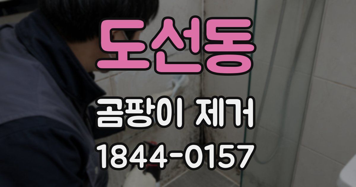 도선동 곰팡이 제거