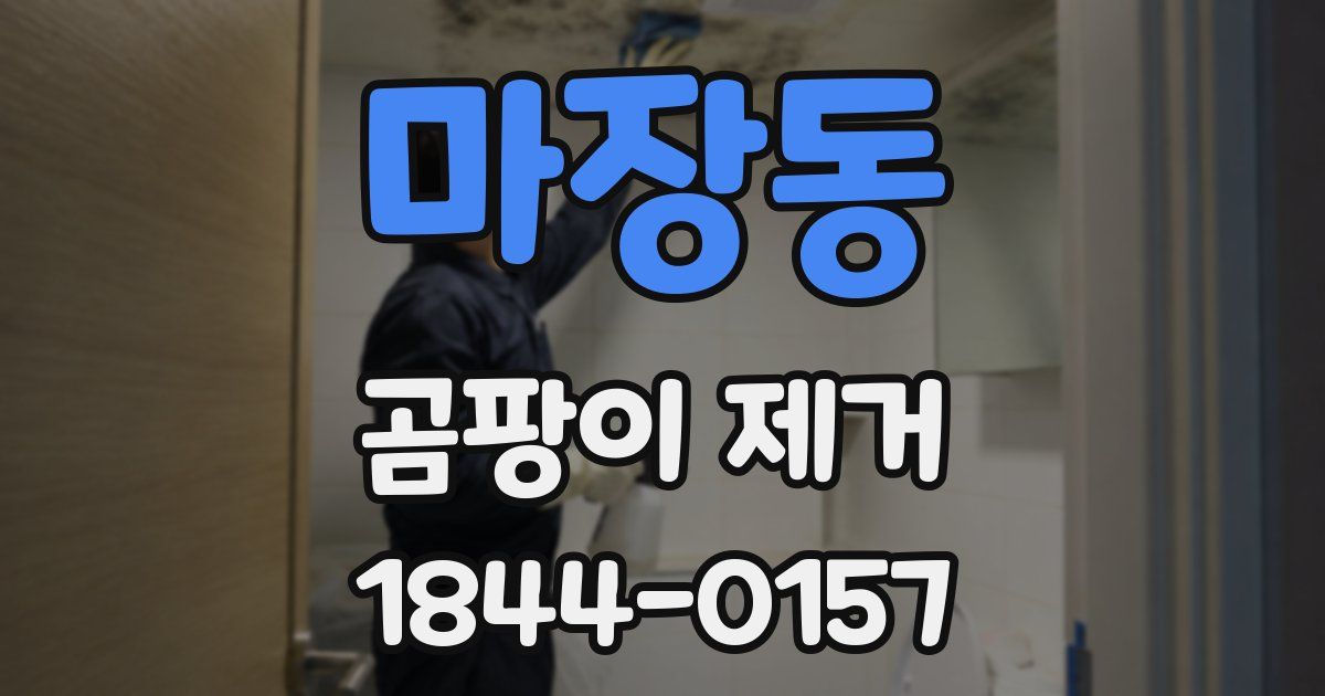 마장동 곰팡이 제거