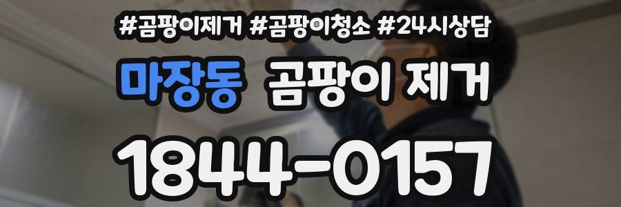 마장동 곰팡이 제거