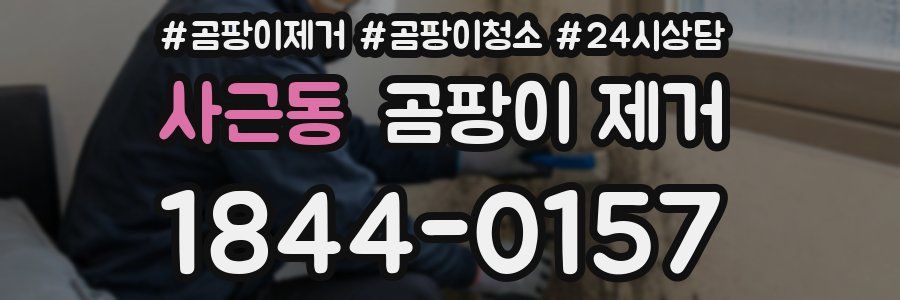 사근동 곰팡이 제거