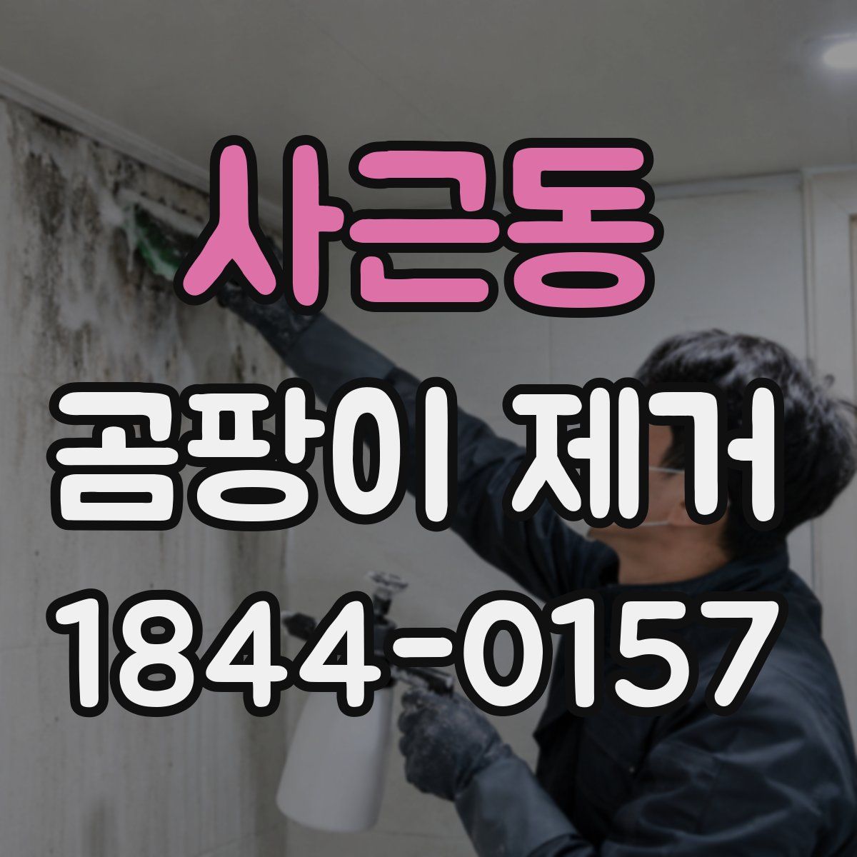 사근동 곰팡이 제거