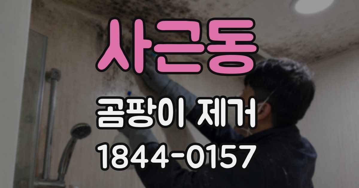 사근동 곰팡이 제거