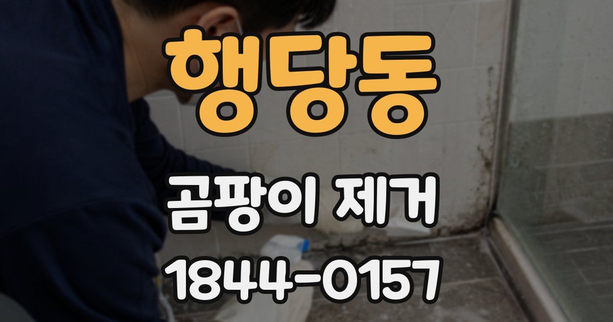 행당동 곰팡이 제거