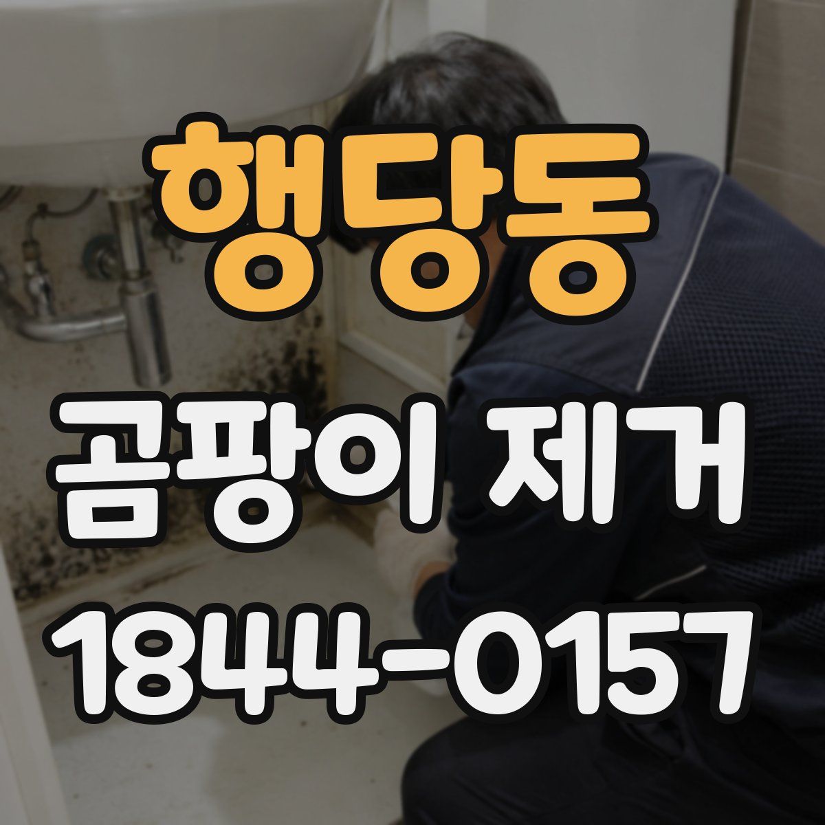 행당동 곰팡이 제거
