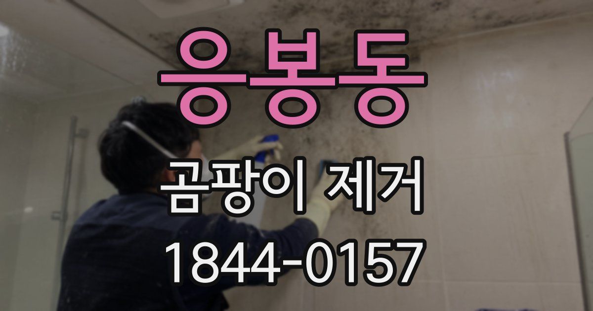 응봉동 곰팡이 제거