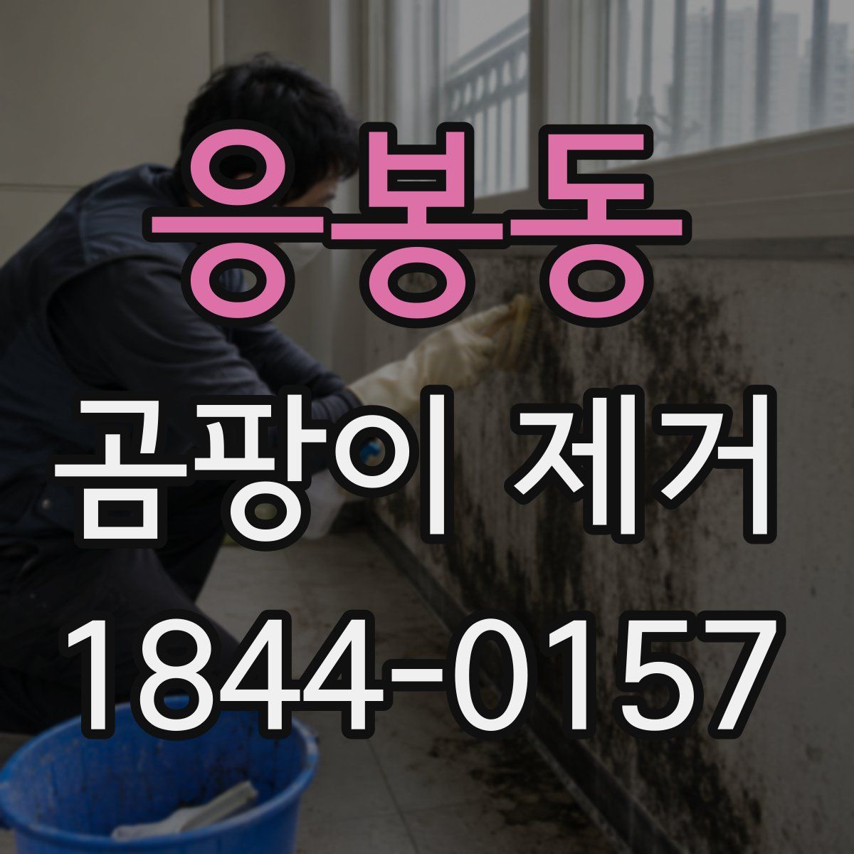 응봉동 곰팡이 제거