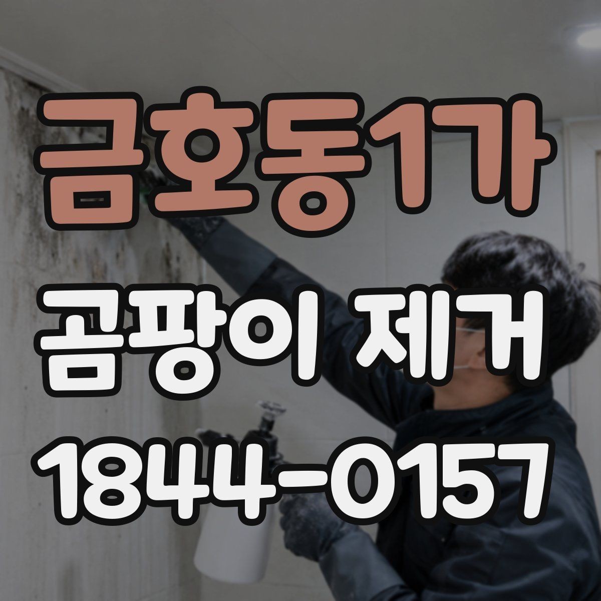 금호동1가 곰팡이 제거 주방과 욕실 경계의 번짐 점검 포인트