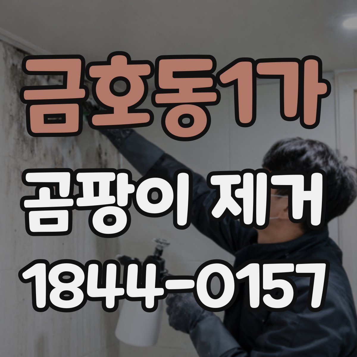 금호동1가 곰팡이 제거