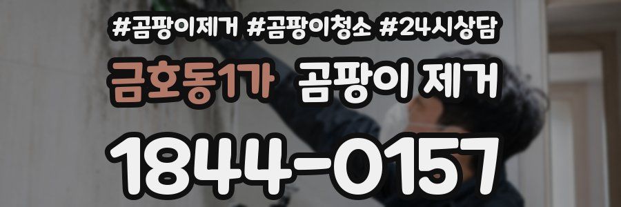 금호동1가 곰팡이 제거