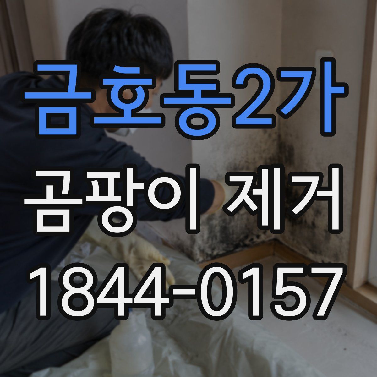 금호동2가 곰팡이 제거