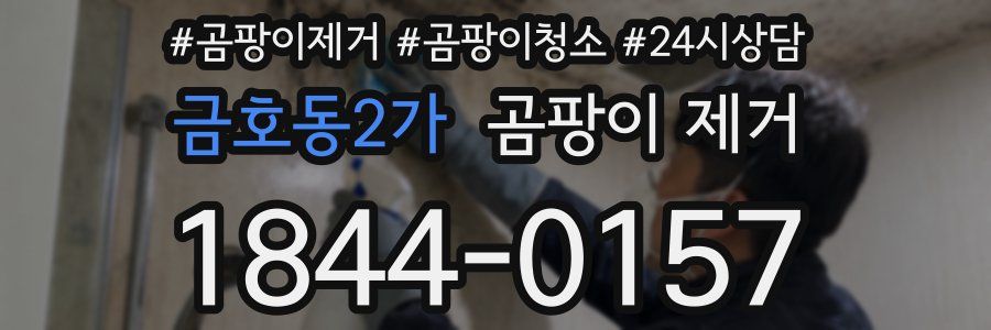 금호동2가 곰팡이 제거