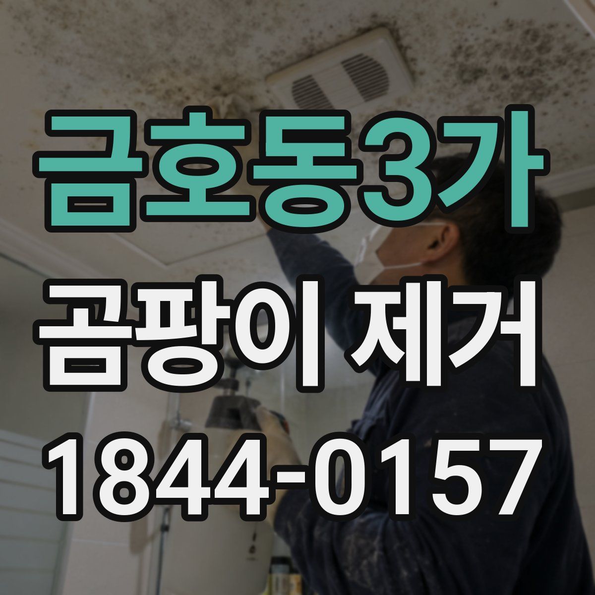 금호동3가 곰팡이 제거