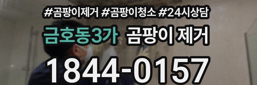 금호동3가 곰팡이 제거
