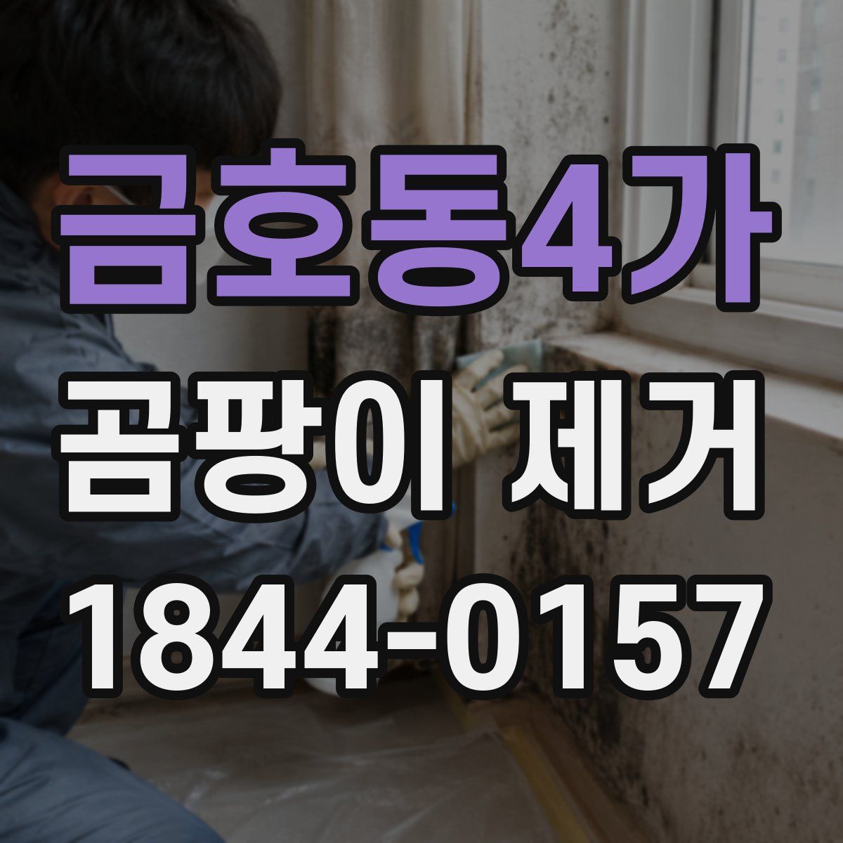 금호동4가 곰팡이 제거