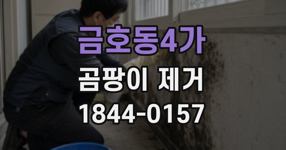 금호동4가 곰팡이 제거