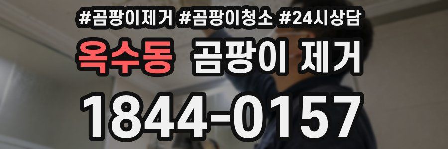 옥수동 곰팡이 제거