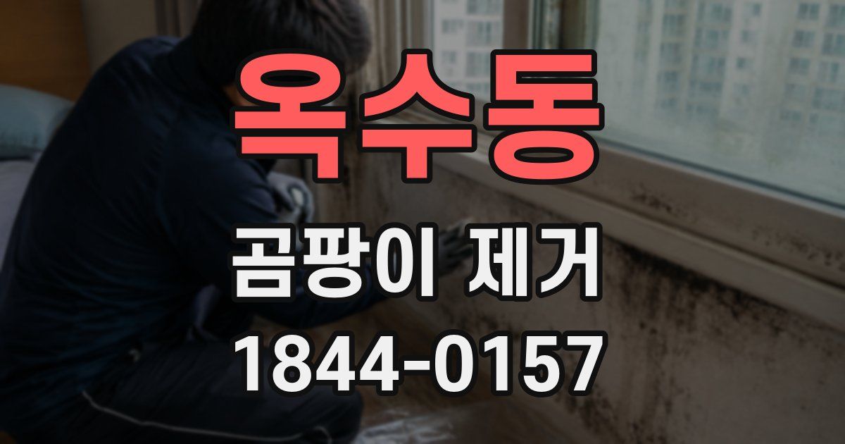 옥수동 곰팡이 제거