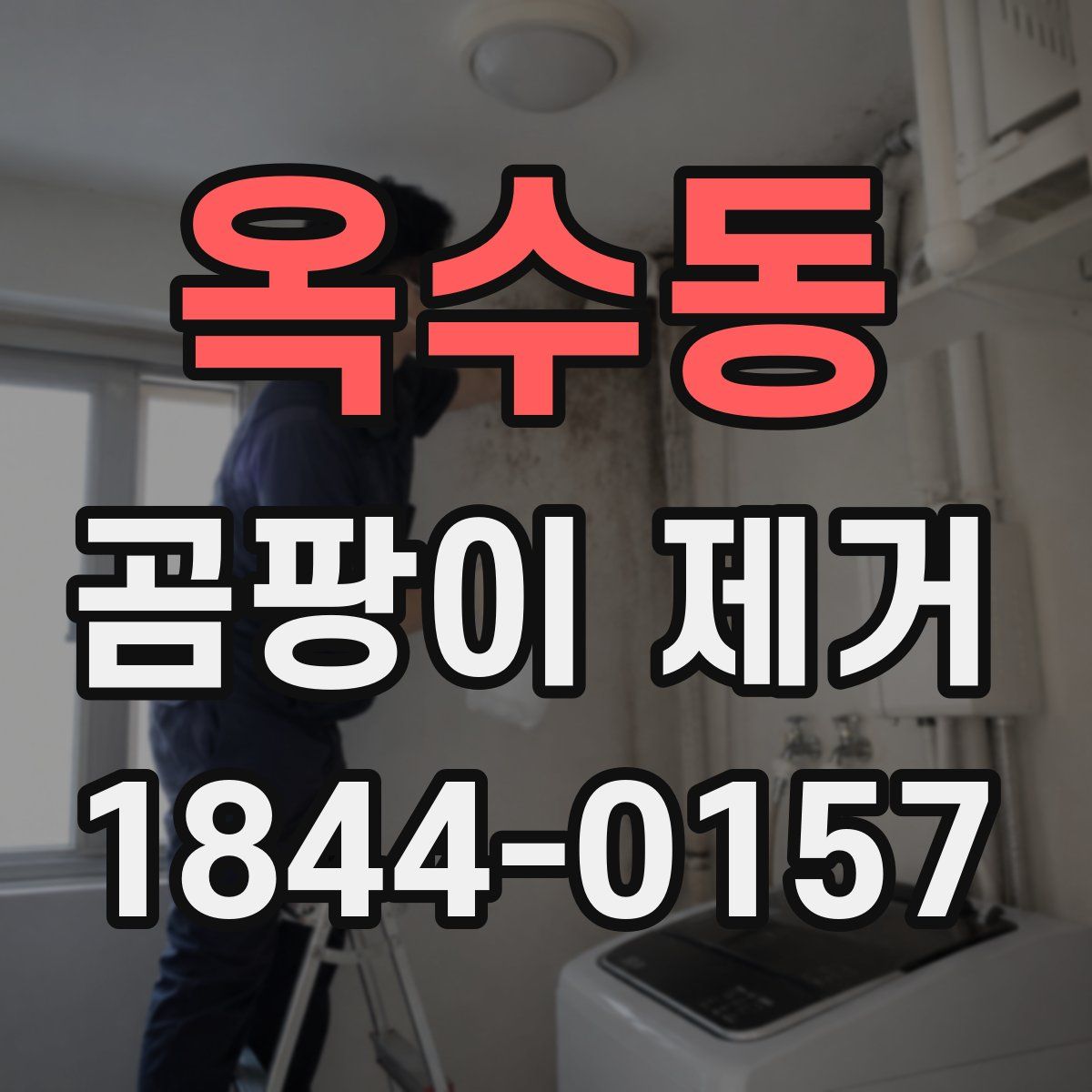 옥수동 곰팡이 제거