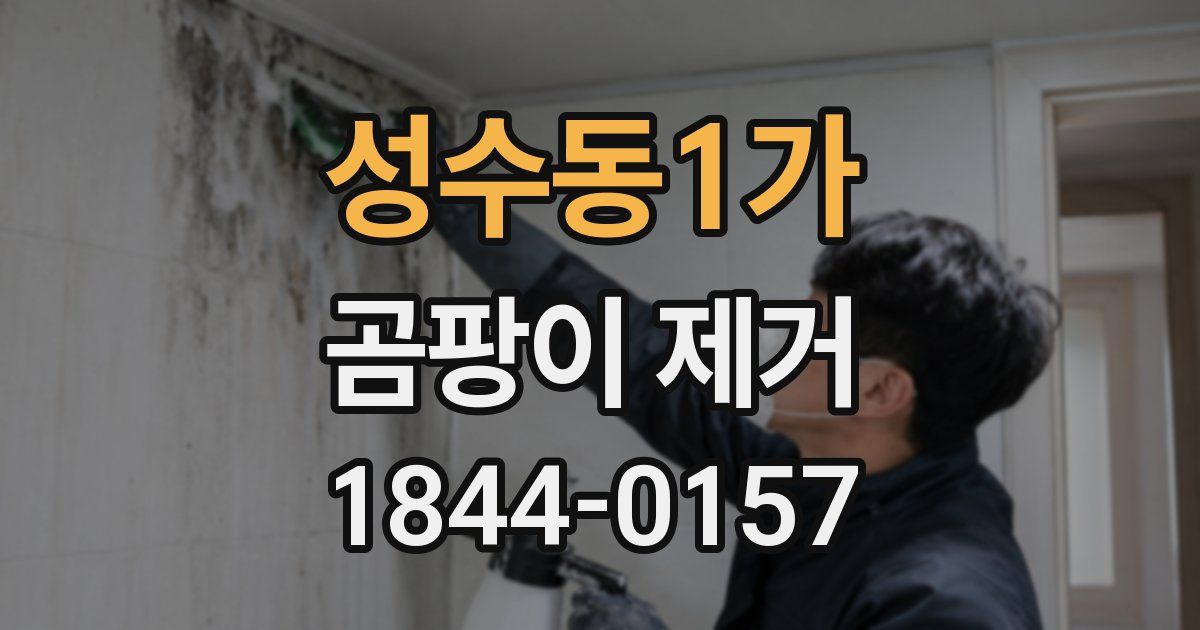 성수동1가 곰팡이 제거
