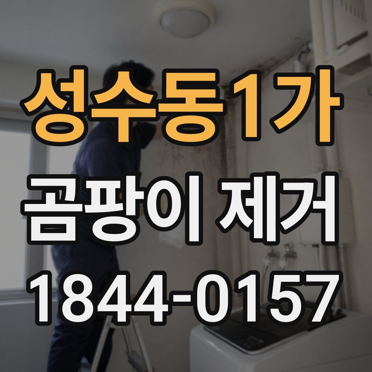 성수동1가 곰팡이 제거