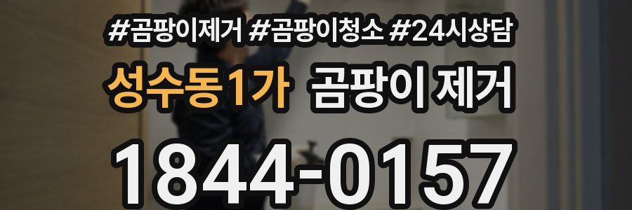 성수동1가 곰팡이 제거