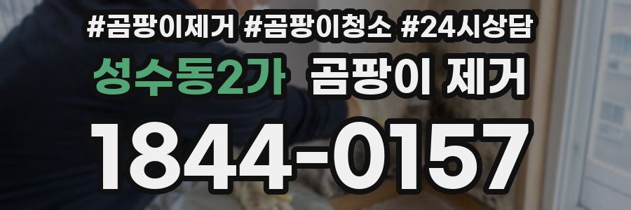 성수동2가 곰팡이 제거