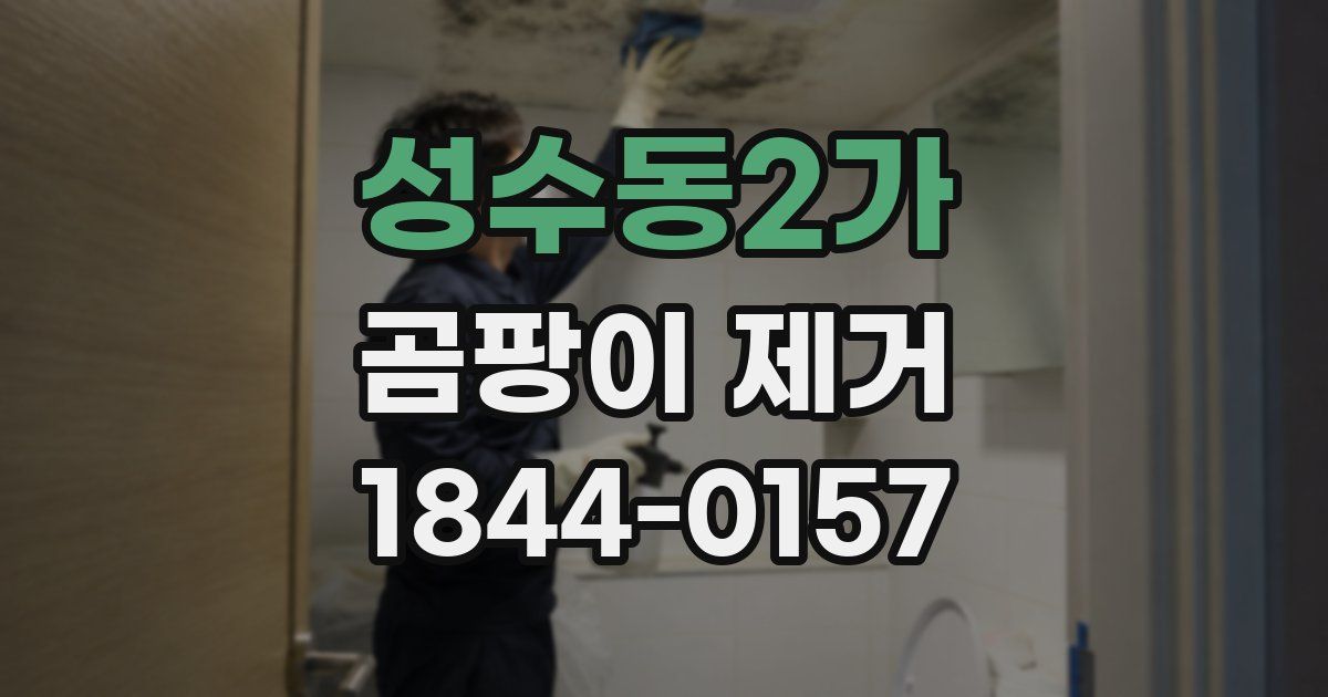 성수동2가 곰팡이 제거