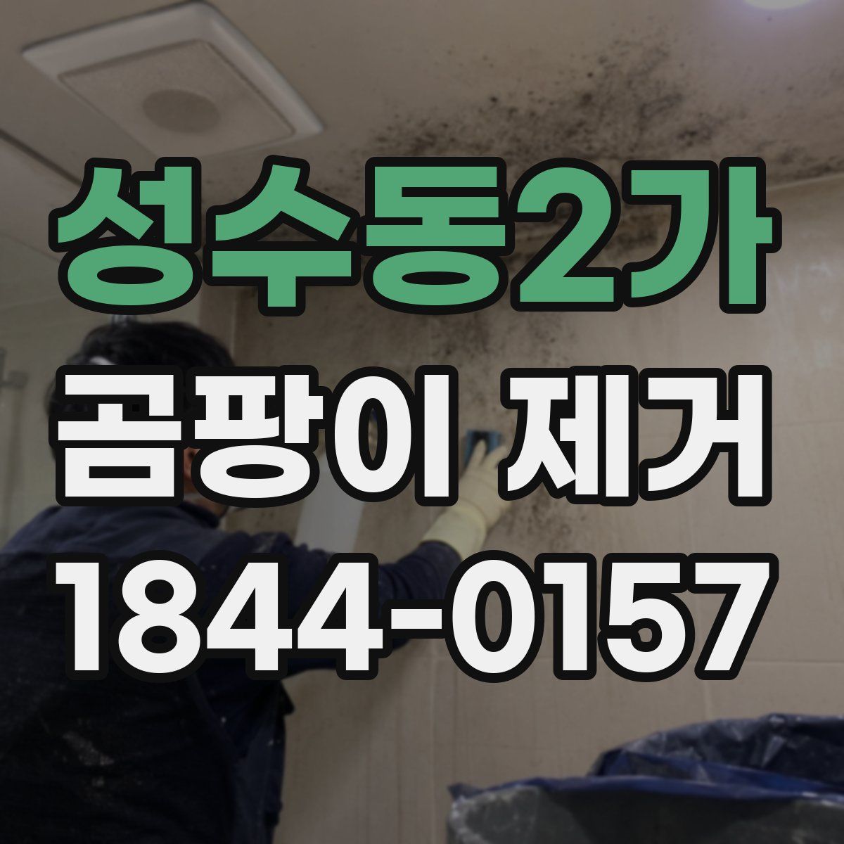 성수동2가 곰팡이 제거