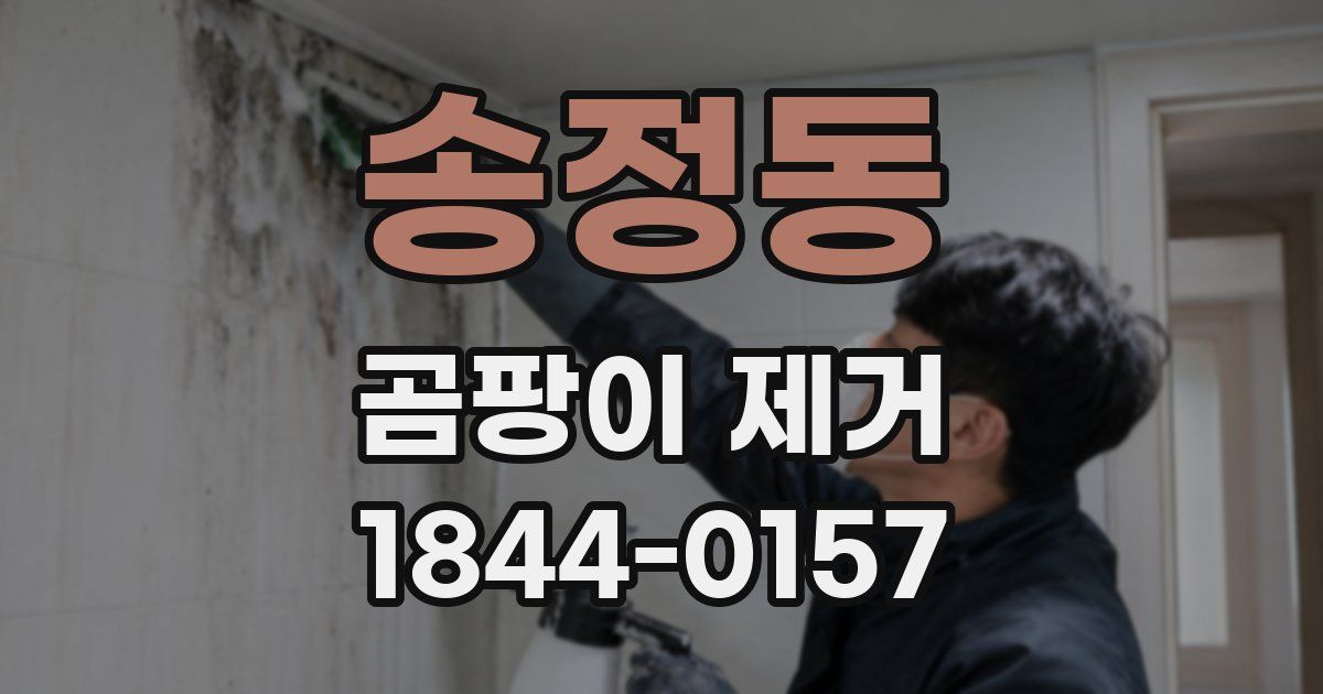 송정동 곰팡이 제거