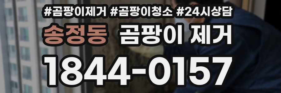 송정동 곰팡이 제거