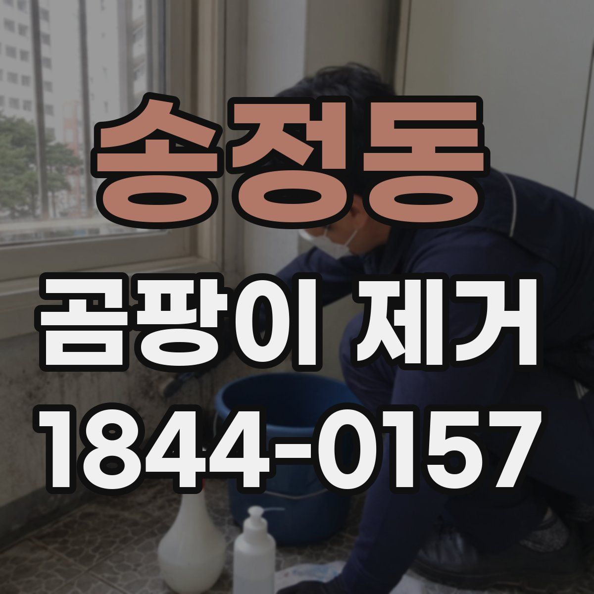 송정동 곰팡이 제거