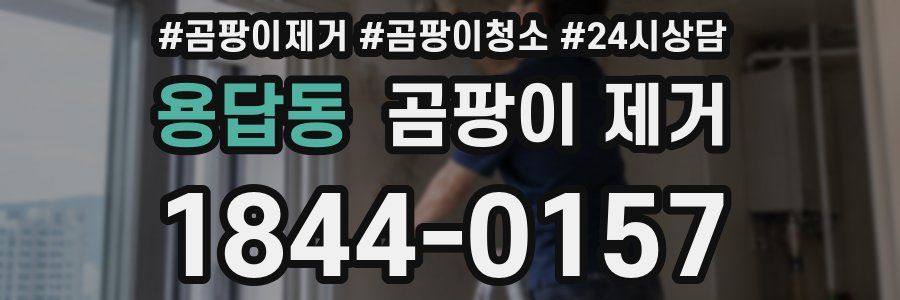용답동 곰팡이 제거