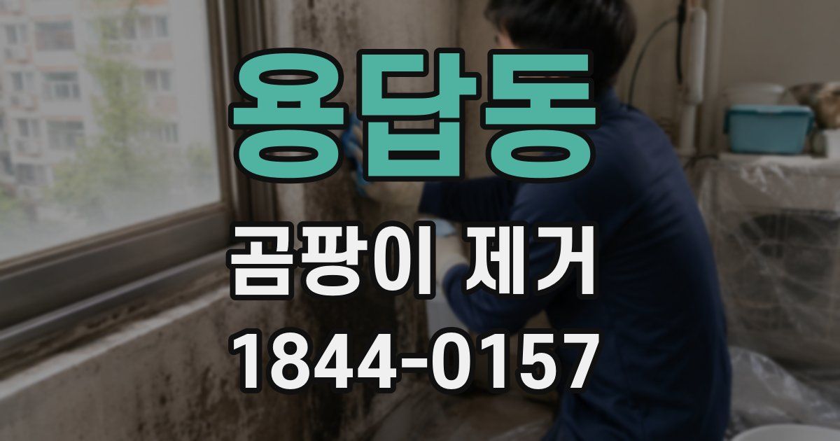 용답동 곰팡이 제거