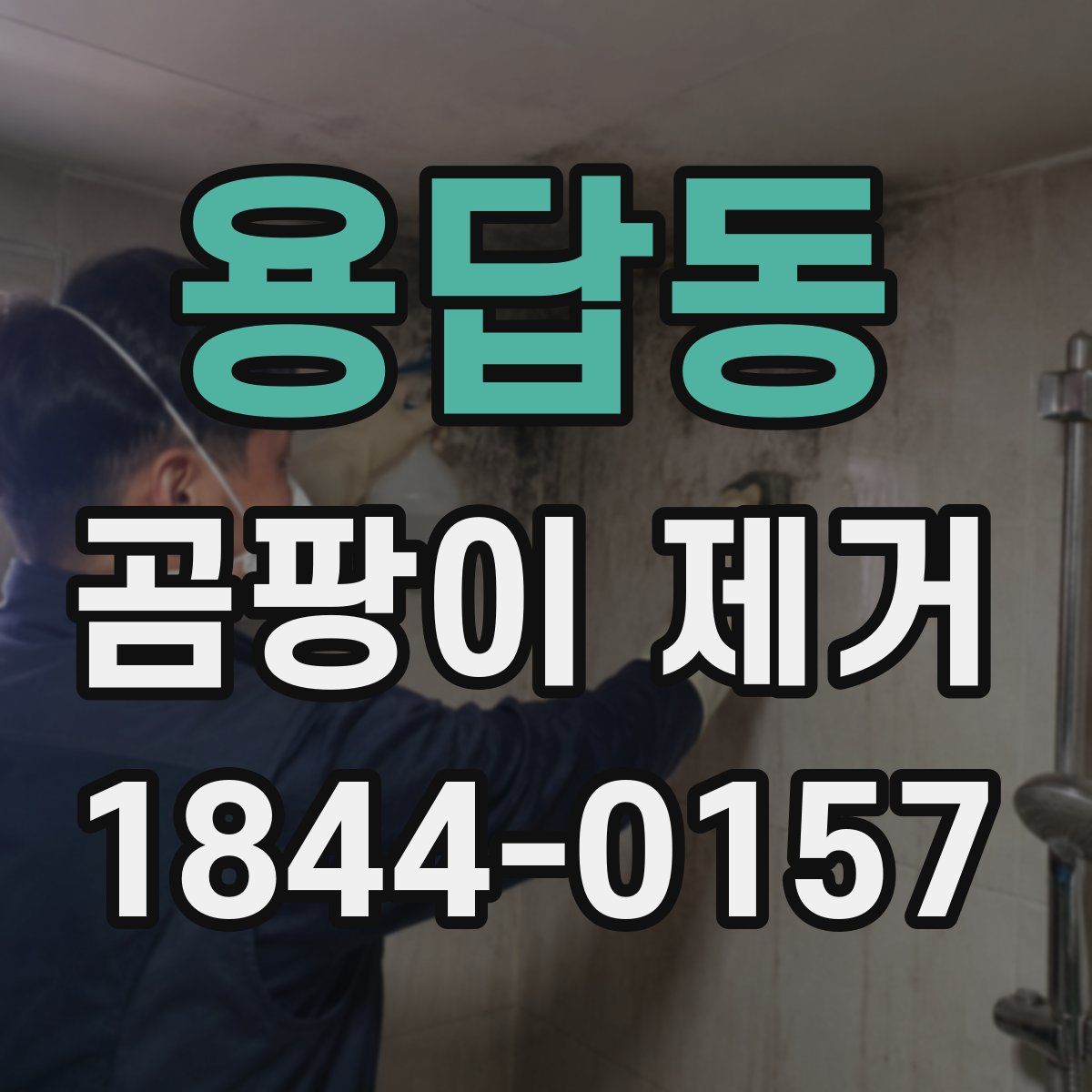 용답동 곰팡이 제거