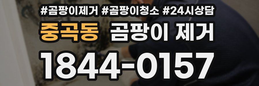 중곡동 곰팡이 제거