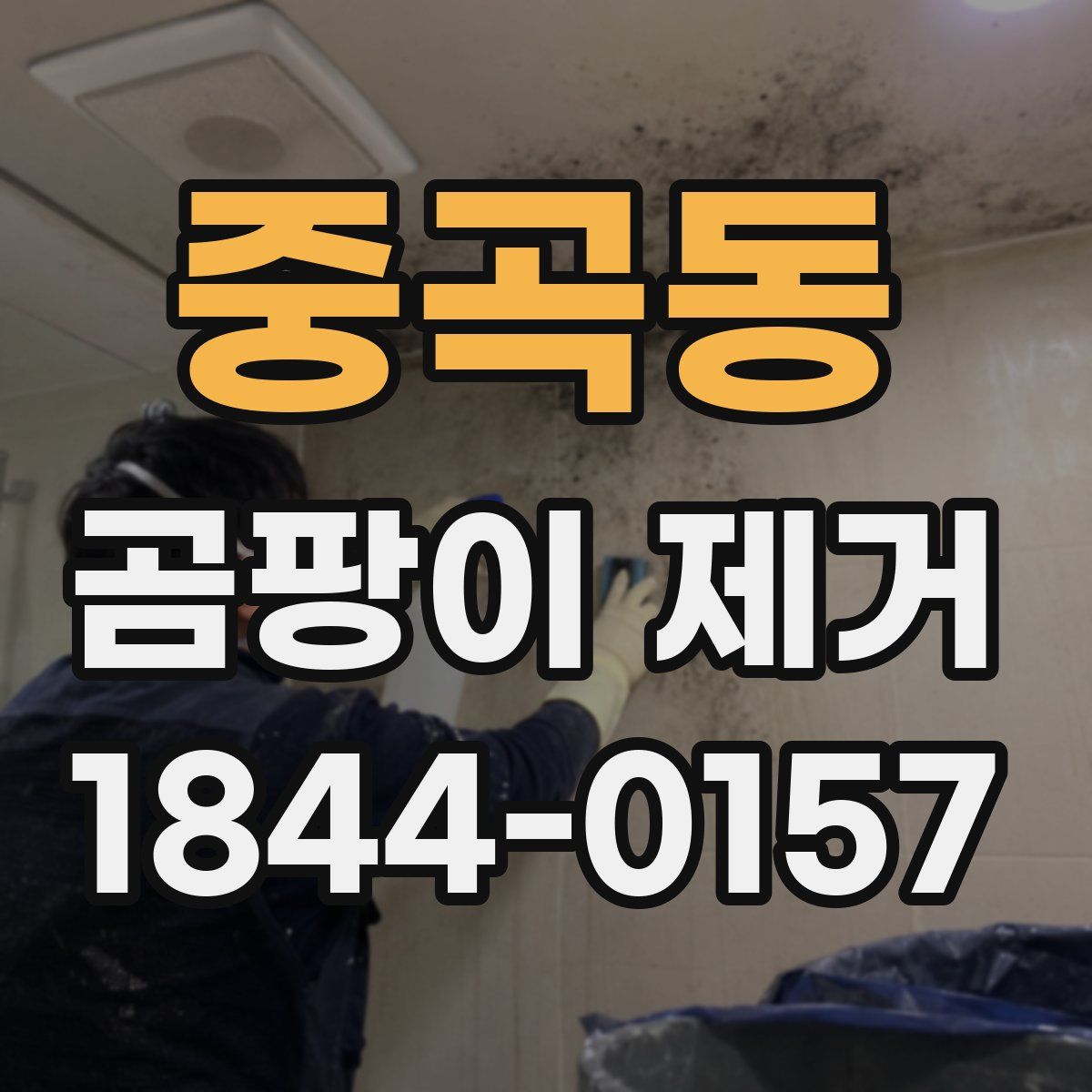 중곡동 곰팡이 제거