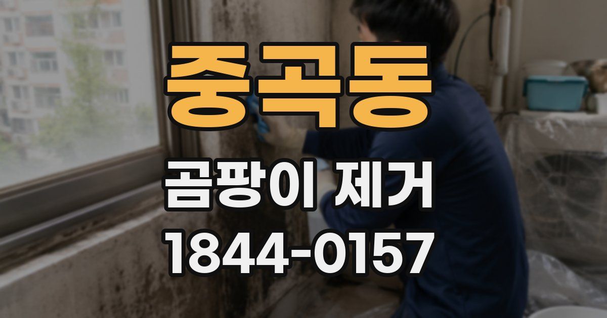 중곡동 곰팡이 제거