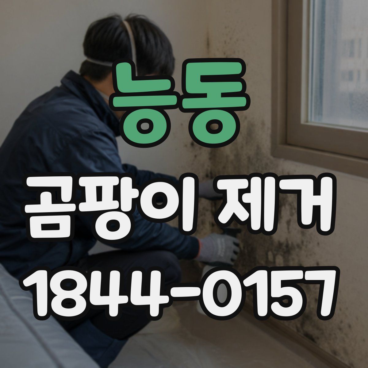 능동 곰팡이 제거