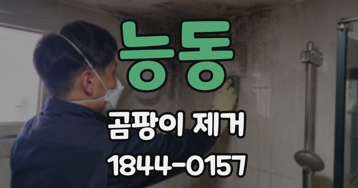 능동 곰팡이 제거