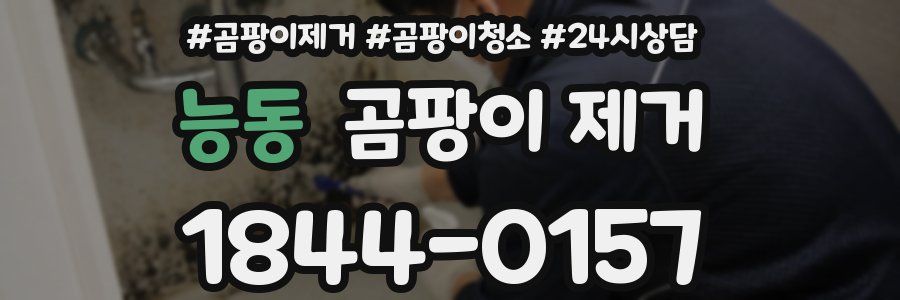 능동 곰팡이 제거