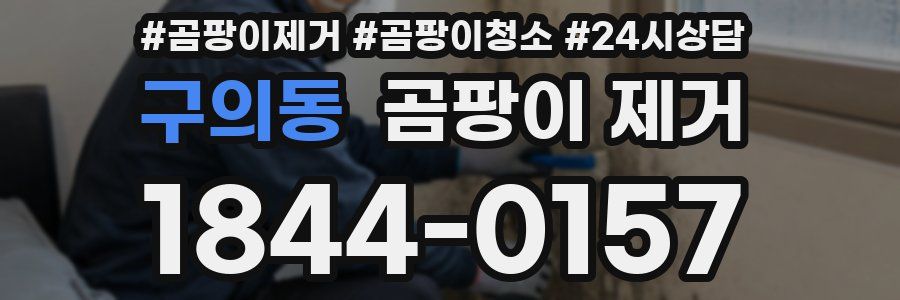 구의동 곰팡이 제거