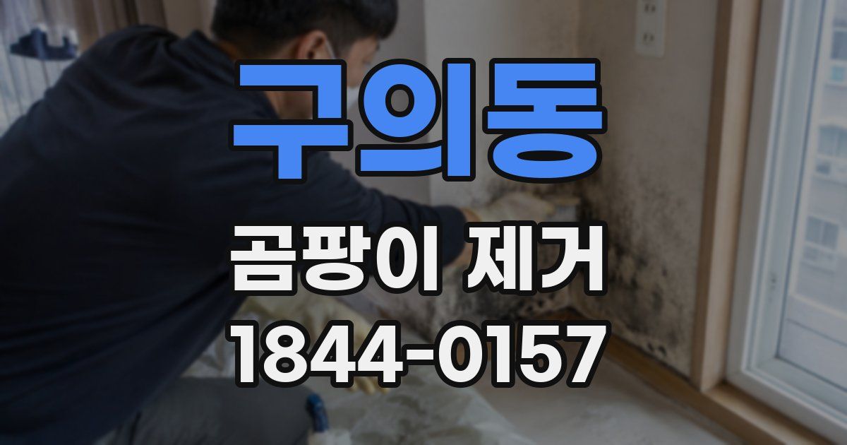 구의동 곰팡이 제거
