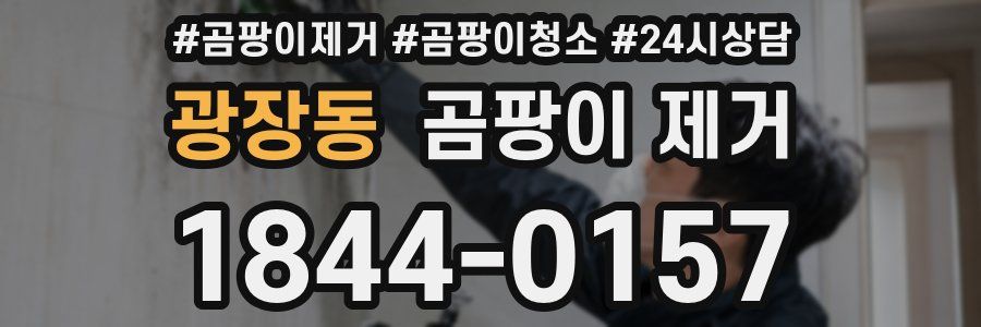 광장동 곰팡이 제거