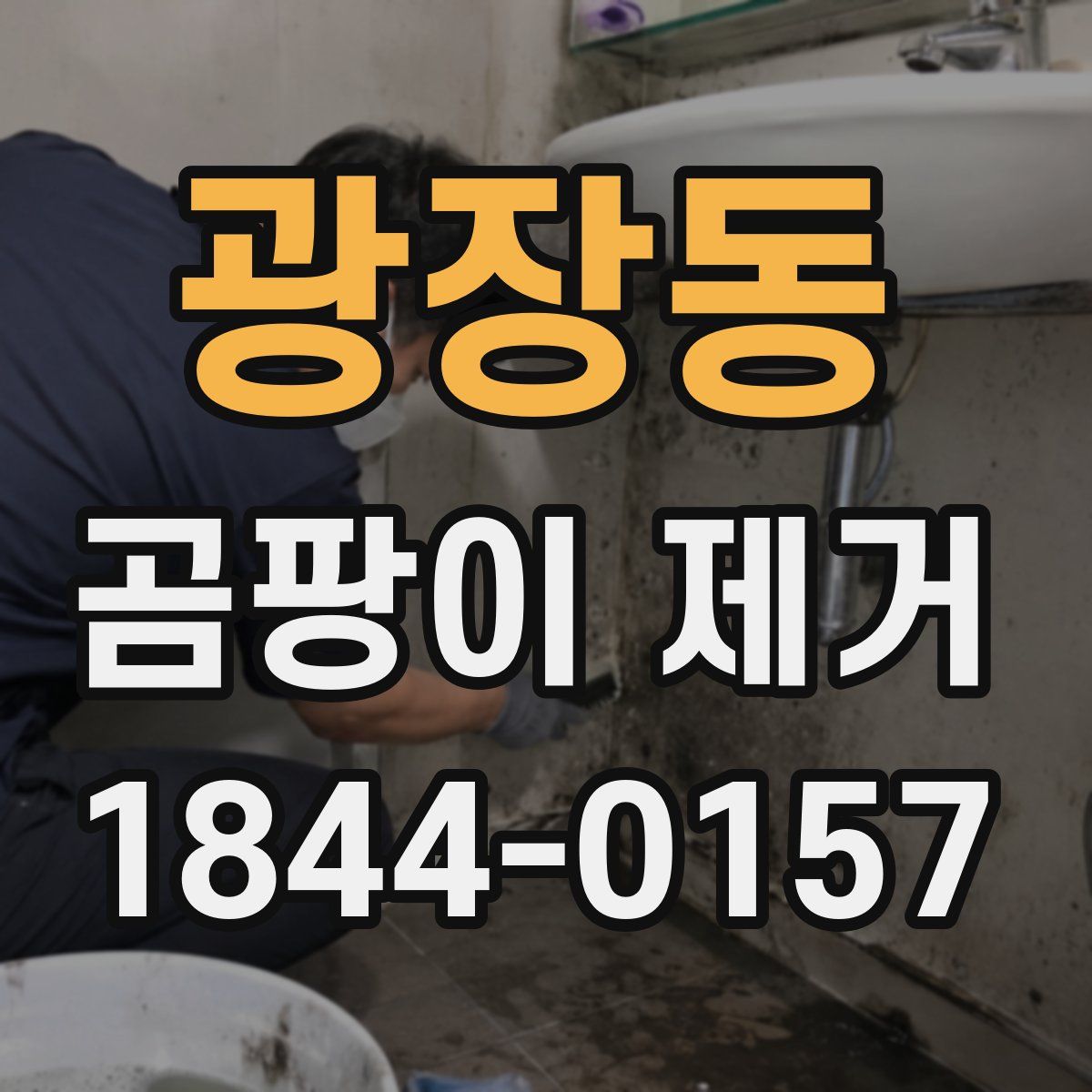 광장동 곰팡이 제거